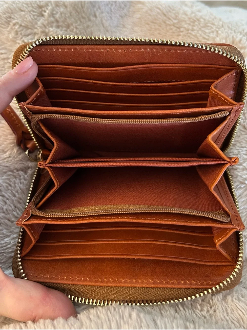 Dooney and Bourke Concord Wallet